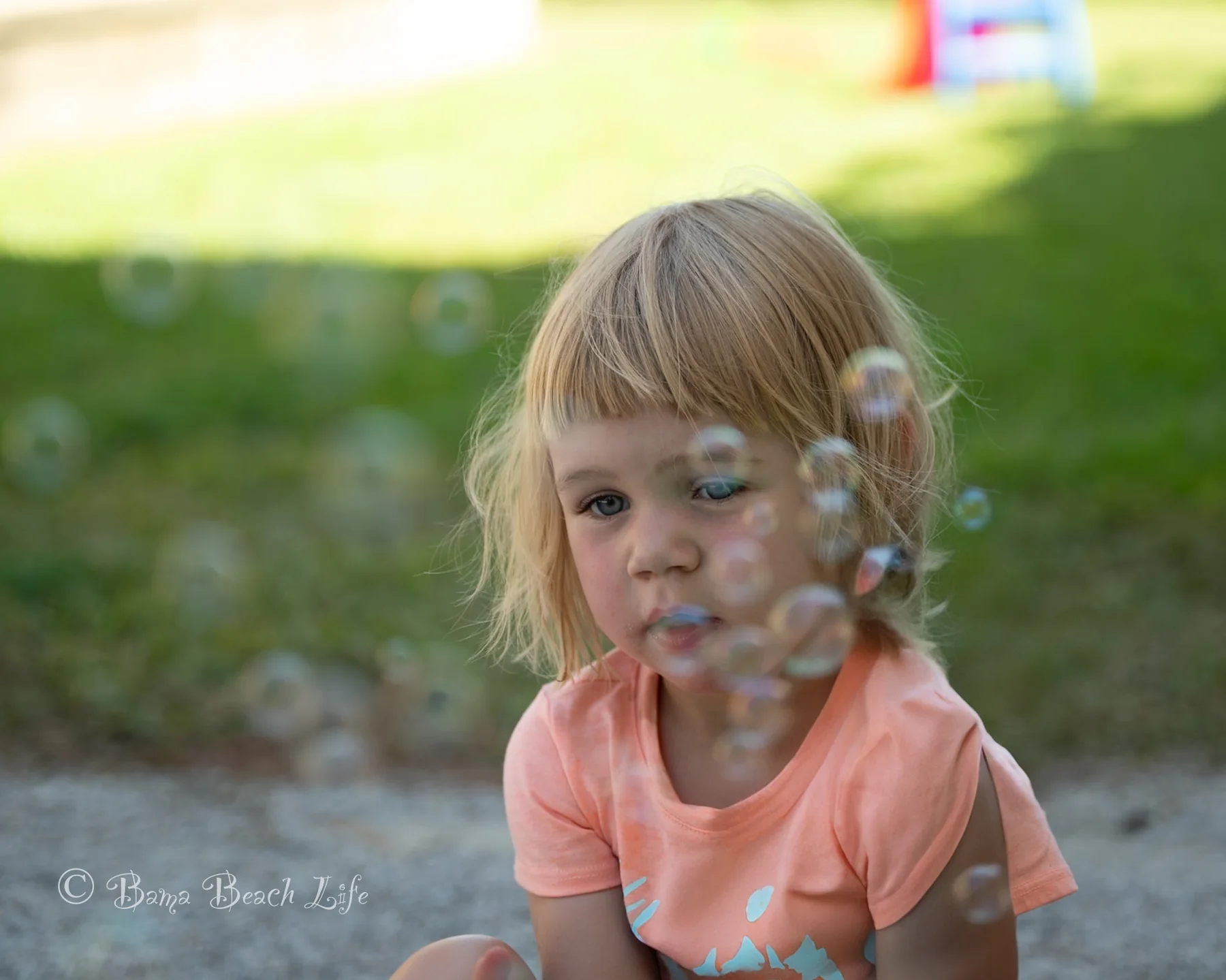 Child beach portrait with bubbles on the Alabama Gulf Coast, capturing childhood memories for family wall art and heirloom portraits.