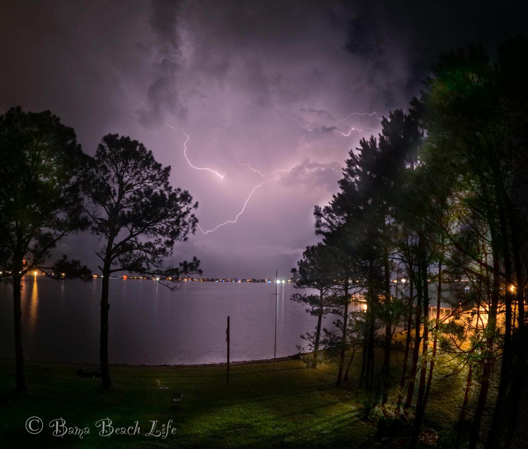 Lightning branching through a purple night sky above lagoon water and pine trees on the Alabama Gulf Coast.