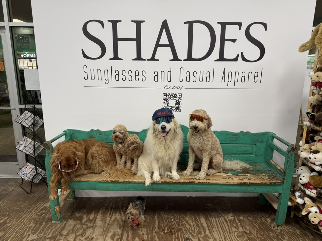 Group of dogs wearing sunglasses gathered on a vintage turquoise bench at a coastal shop.