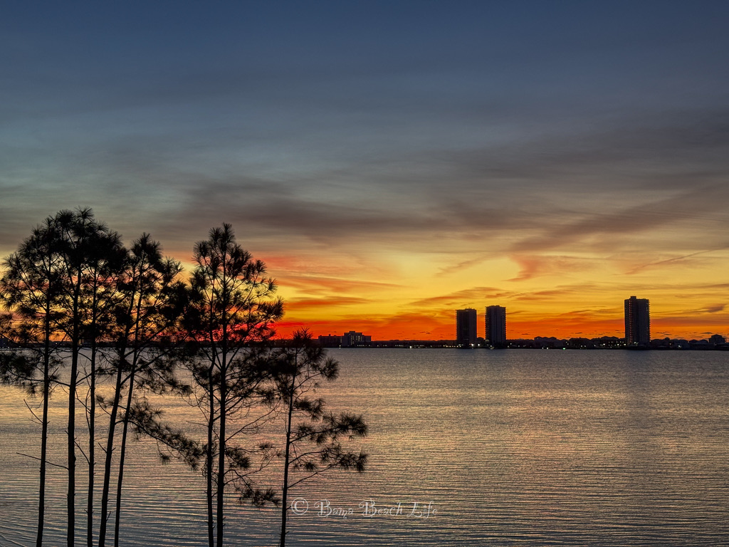 Orange Little Lagoon sunset framed by pine silhouettes and the distant Gulf Shores skyline.