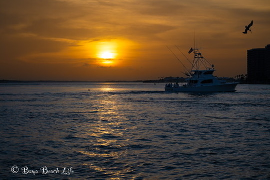 Charter fishing boat crossing Orange Beach water beneath a golden Alabama Gulf Coast sunset.