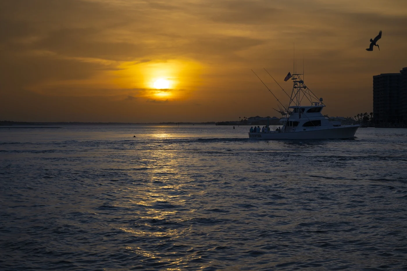 Orange Beach charter boat and pelican at sunset, photographed as detailed coastal wall art for Gulf Coast homes, beach houses, and fine art photography collectors.